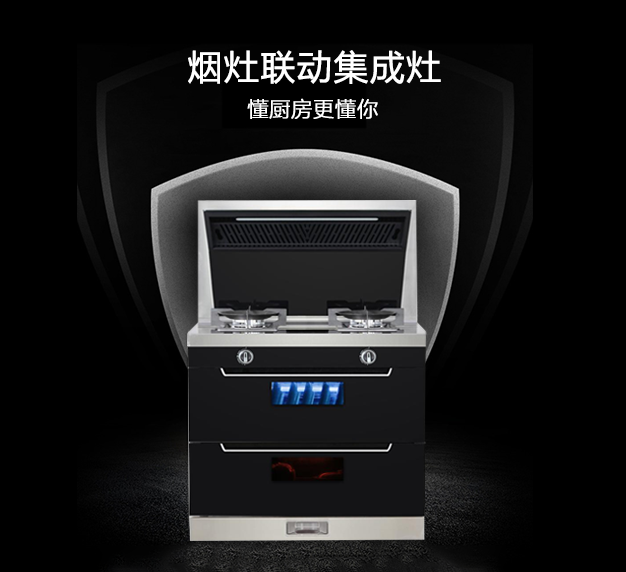 公司所生產銷售的燃氣灶具產品，在行業里始終處于領先地位，也是灶具行業里比較突出的OEM制造企業
