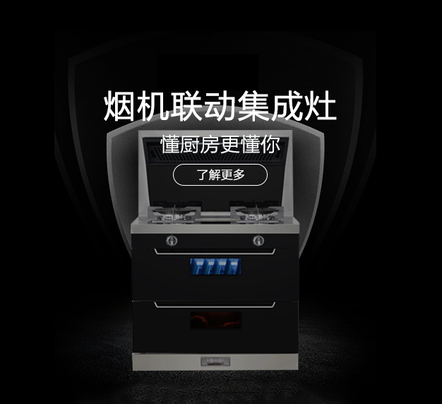 公司所生產銷售的燃氣灶具產品，在行業里始終處于領先地位，也是灶具行業里比較突出的OEM制造企業